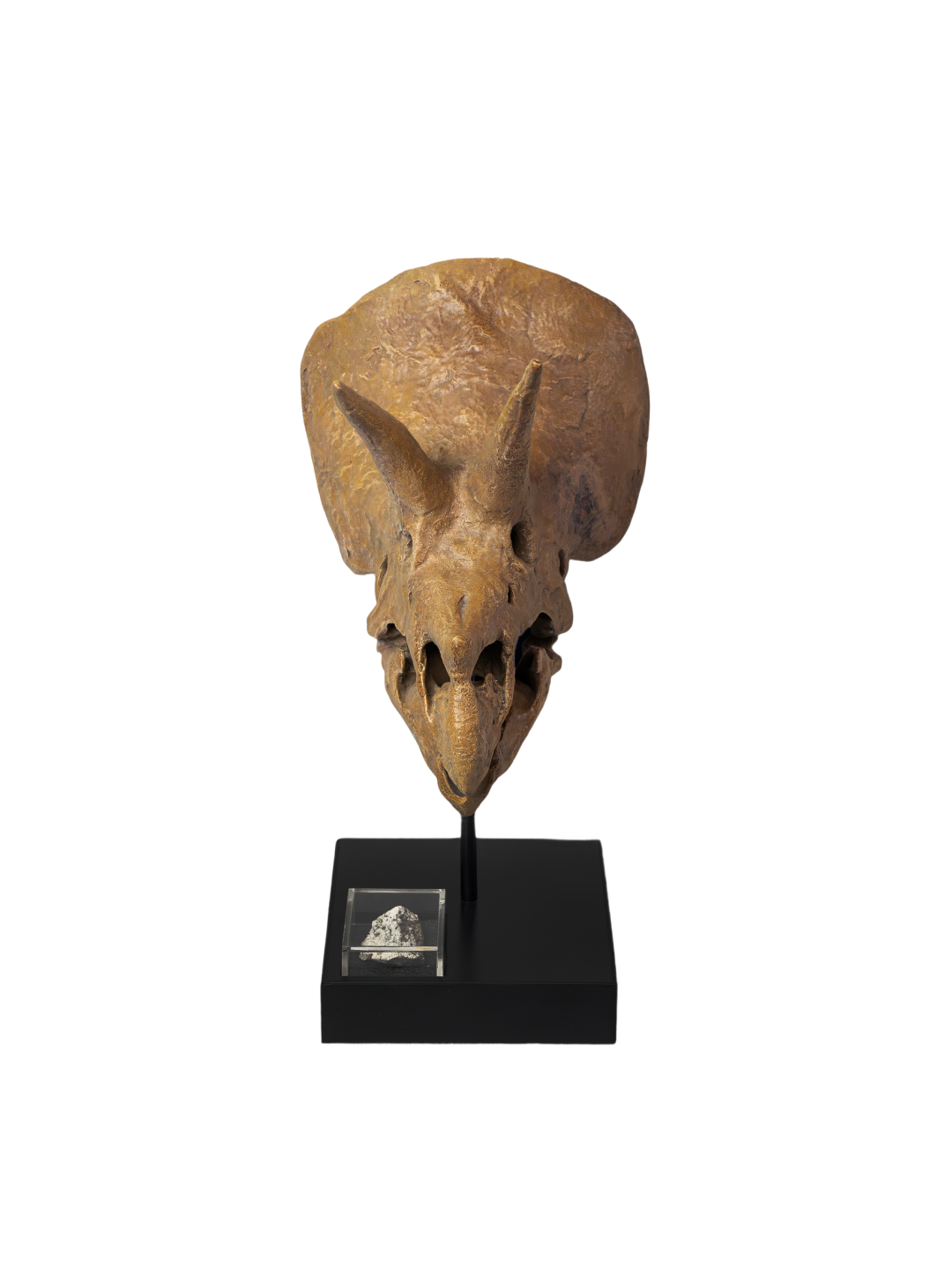 Relic Skull