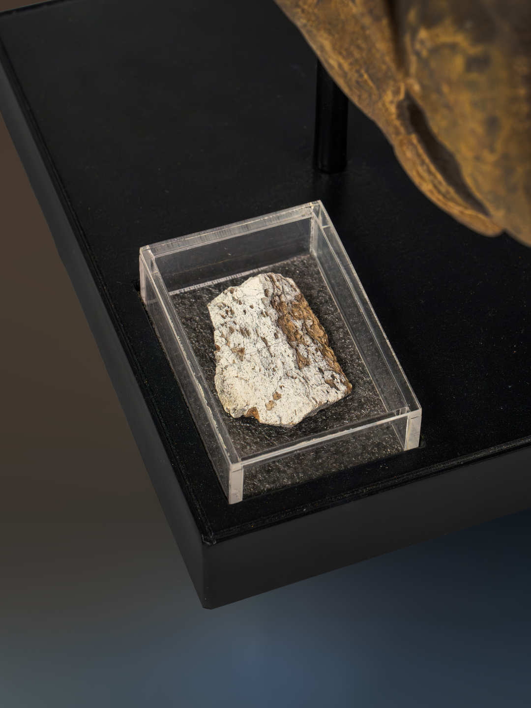 Relic Skull